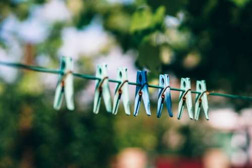 Pegs Clothe Pegs Drying Clothesline Clothespin Dry