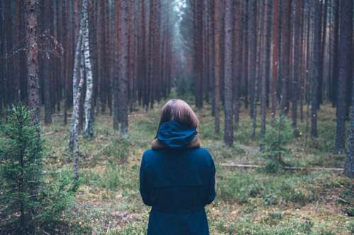 Person Forest Outdoor Standing Back Looking Wood