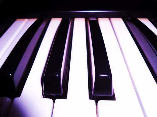 Piano Organ Keyboard Keys Music Musical Instrument