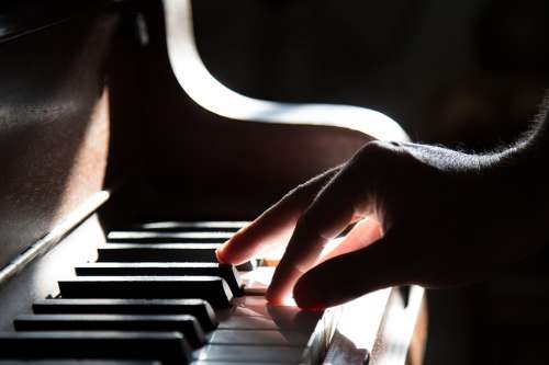 Piano Hand Playing Music Keyboard Instrument