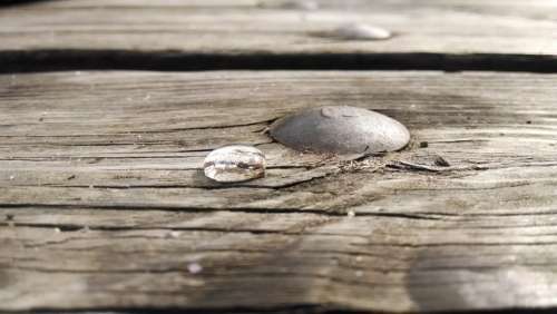 Picnic Table Water Drop Nail Wood
