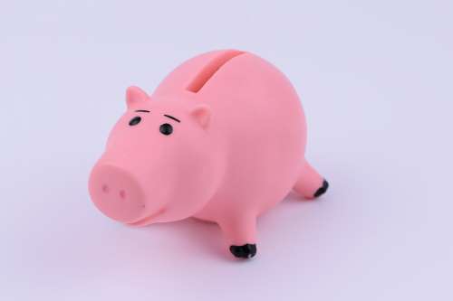 Piggy Bank Figure Finance Money