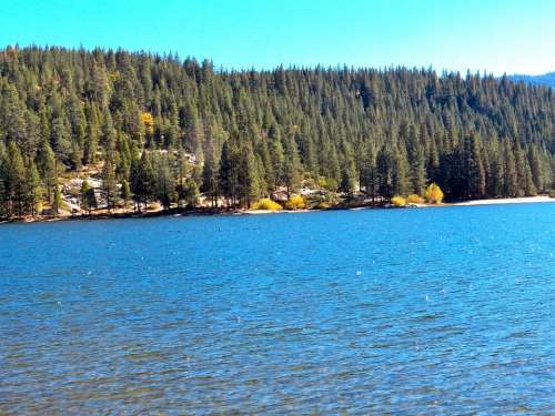 Pine Forest Lake Kings Canyon Water Nature