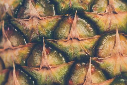 Pineapple Fruit Tropical Exotic Food Wallpaper