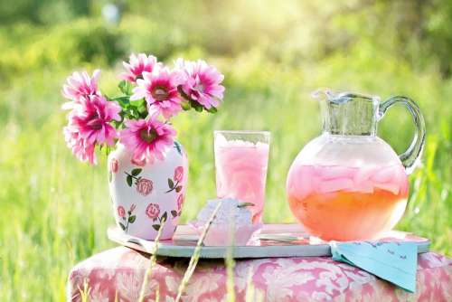 Pink Lemonade Summer Outdoors Beverage Refreshment