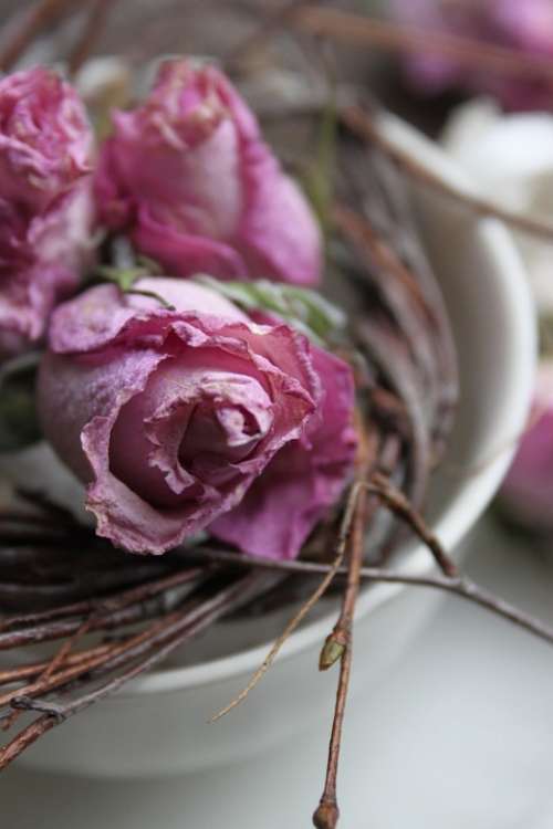 Pink Roses Decoration Dried Cup Of Branches