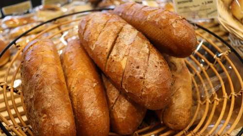 Plain Bread Bread Grain Diet Wheat Bakery