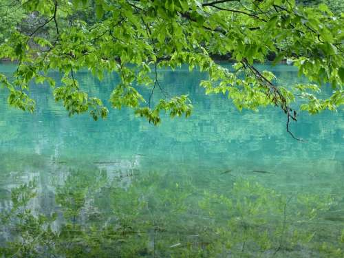 Plitvice Lakes Croatia Water Nature Landscape Lake