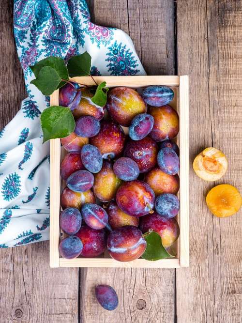 Plum Fruit Food Still Life Vitamins