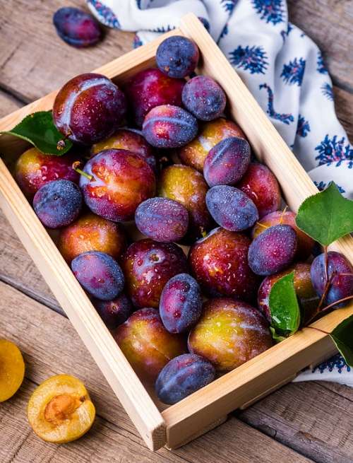 Plum Box Fruit Vitamins Garden Food