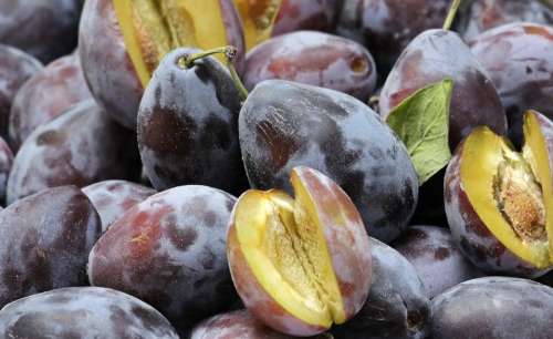 Plums Fruit Fruits Ripe Violet Food Healthy