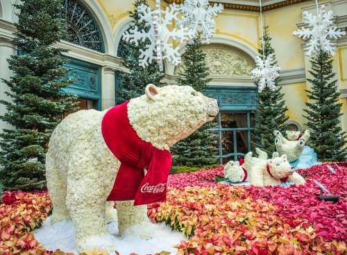 Polar Bears Bellagio Las Vegas Decoration Famous