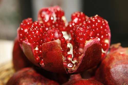 Pomegranate Open Cores Fruit Fruits Red Vitamins