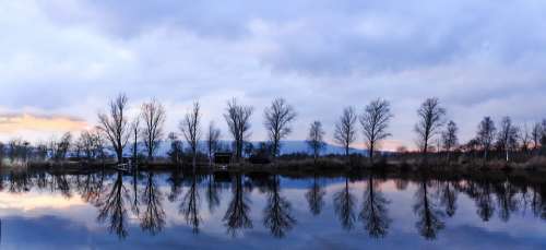 Pond Water Nature Trees Mirroring Waters
