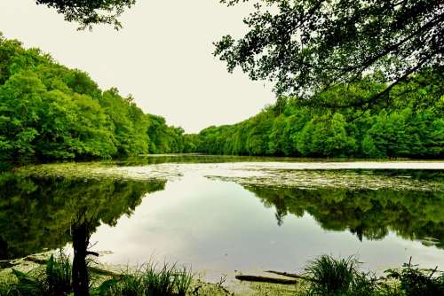 Pond River Nature Landscape Lake