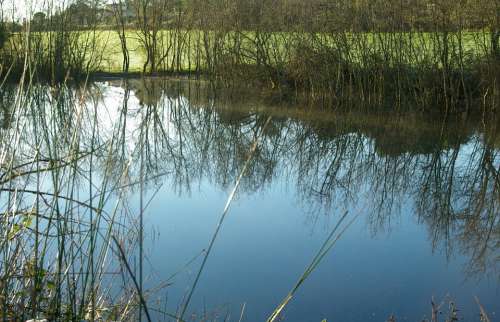 Pond Winter Lake Reflections