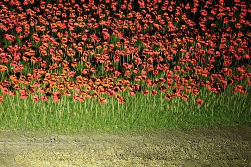 Poppies Rivers Of Blood Ceramic Ornaments Britain