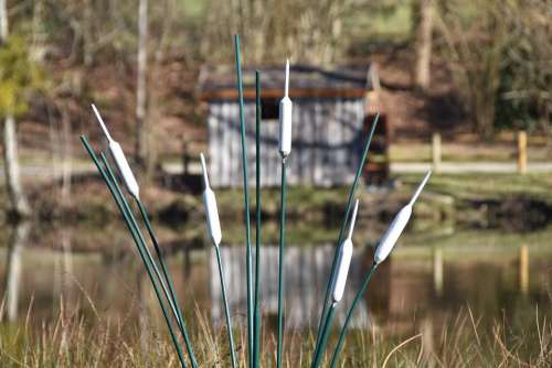 Porcelain Reed Water Cabin Landscape Plants Reeds