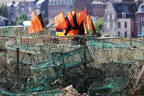 Port Nets Tréport France Fishnet