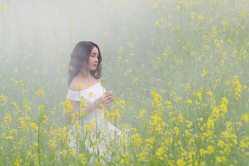 Portrait Girl Fog Flowers Beauty Tender Asian