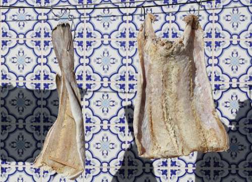 Portugal Povoa De Varzim Fish Food Drying