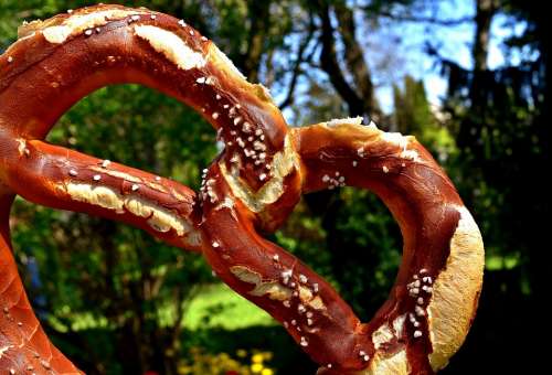 Pretzel Salt Pretzels Delicious Eat Crispy Bread