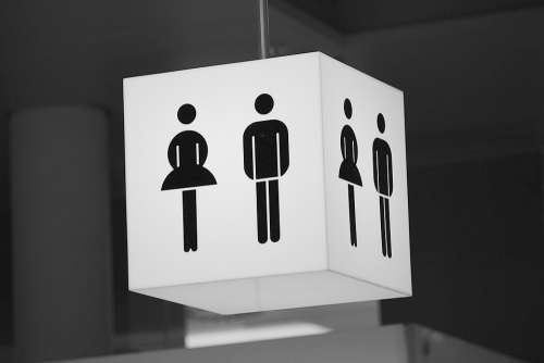 Public Toilet Wc Toilet Shield Toilets Loo Man