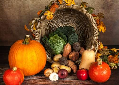 Pumpkin Vegetables Autumn Thanksgiving Basket