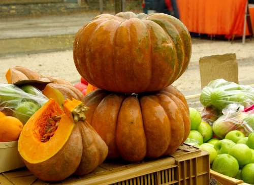 Pumpkin Squash Vegetables Market Fall
