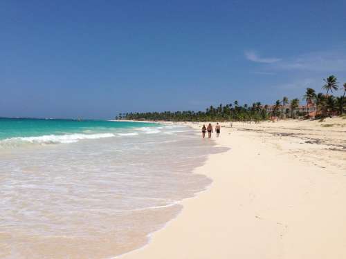 Punta Cana Beach Ocean Sand Palm Trees