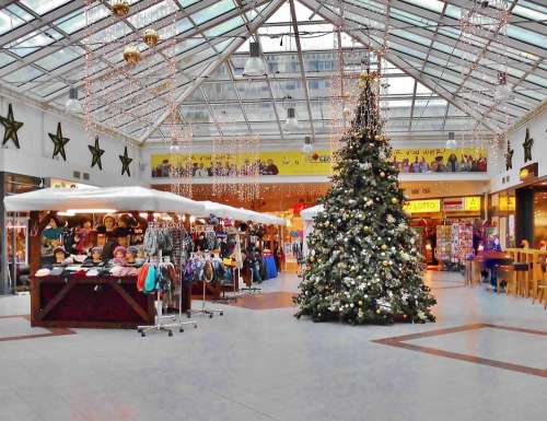 Purchase Center Christmas Market Christmas Tree
