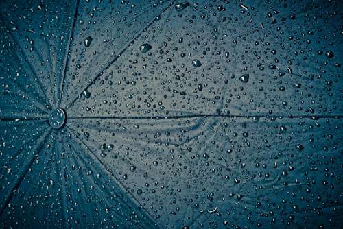 Rain Screen Umbrella Raindrop Wet Weather