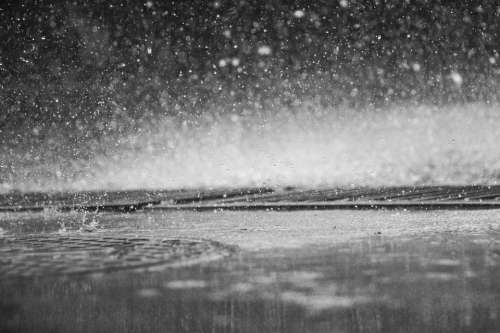 Rain Drops Drip Shower Scene Wet Raindrops