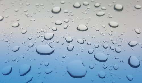 Rain Drops Rain Water Drips Wet Weather Showers