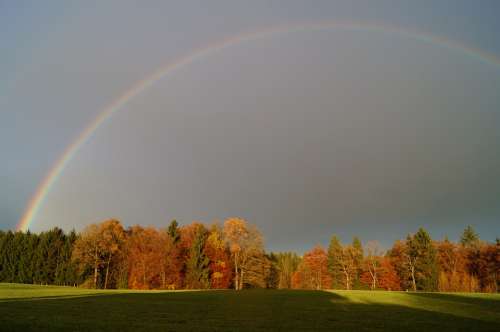 Rainbow Rainbow Colors Forest Landscape Rain