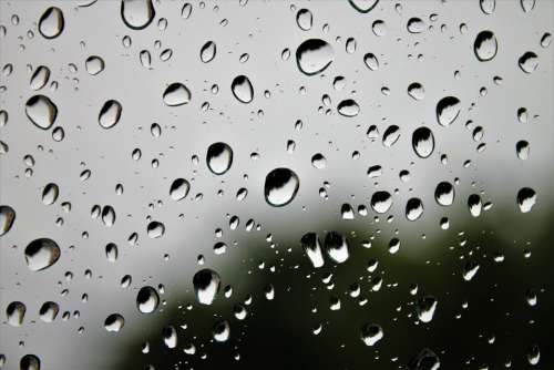 Raindrop Rain Water Drip Wet Drop Of Water Window