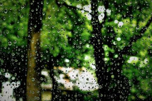 Raindrop Rain Water Wet Drop Of Water Window