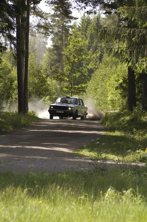 Rally Forest Driving Car Gravel