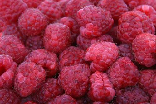 Raspberries Fruit Berries Close-Up Colorful