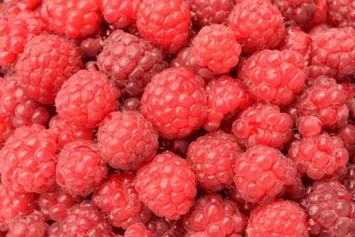 Raspberries Close Up Background Fruit Red Sweet