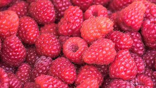 Raspberries Berries Ripe Vitamins Fruit Food