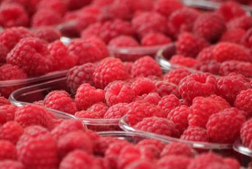 Raspberries Fruits Berries Fruit Red Food Berry