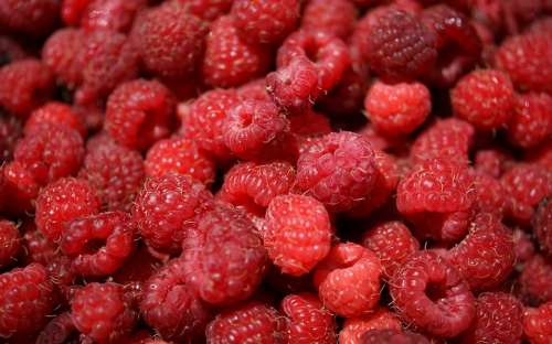 Raspberries Berries Fruit Tasty Red Ripe Fresh
