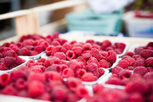 Raspberries Red Berries Sweet Fruits Fruit Food