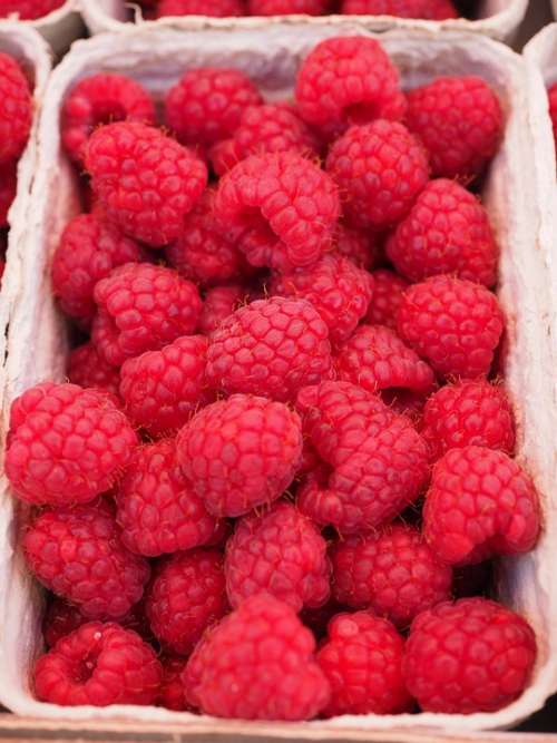 Raspberries Berries Fruits Red Vitamins Sweet