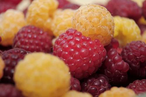 Raspberries Fruit Dessert Red