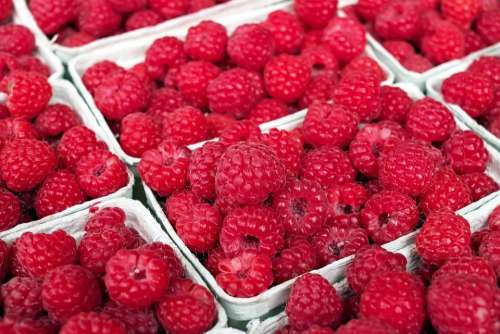 Raspberry Berry Fruit Fruits Red Summer