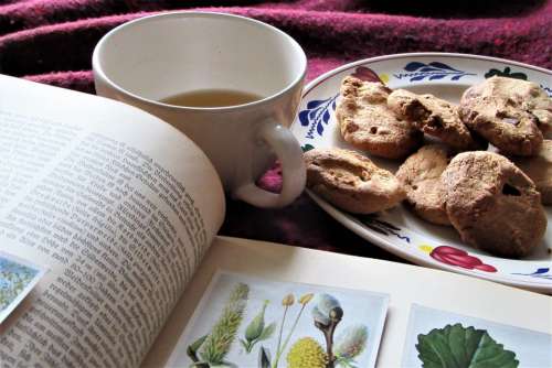 Read Botany Pictures Have Breakfast Cookies Baking