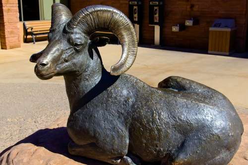 Reclining Bighorn Ram Sculpture Bronze Statue Desert