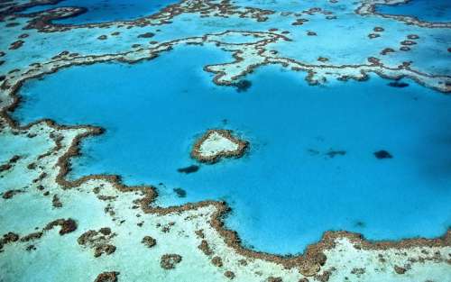 Reef Heart Shape Island Corals Atoll Sea Ocean